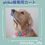 ⭐︎ alriko様専用カート⭐︎他の方のご購入はお控えください