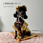 犬用 還暦＆米寿 リバーシブルちゃんちゃんこセット赤×金 ベレー帽付き｜長寿祝い・誕生日フォト