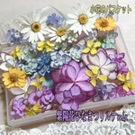 豪華な小花のドライフラワー詰め合わせ ／紫陽花ひな祭りルナmix／レジン封入などに 小花アクセサリーガラスドームなどに