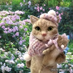 no.445 ミニ・ミー人形を持つ薄茶猫さん