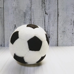 sednk様専用フェルトサッカーボール15個セット