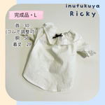 【完成品】L　白いレースブラウス　犬服