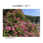*at105様オーダー*