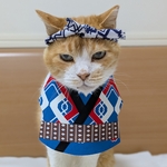 江戸っ子祭り