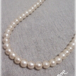 再販＊コットンパール＊シンプルminiネックレス