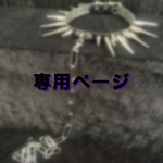 専用ページ