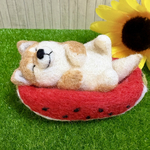 スイカのベッドで🍉へそてん姿のちっちゃな柴犬ちゃん（羊毛フェルト）