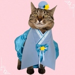 【受注製作】送料無料☆彡なんちゃって着物袖風スタイ彦星〜犬猫スタイ