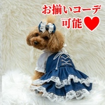 犬服 スカート ワンピース /デニム /小型犬 / 編み上げスタイル  /コルセット/パフ袖