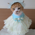 イエローシフォンドレス