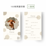 うちの子名刺 色選択可能/100枚両面印刷/カスタマイズ名刺/犬猫小動物さんも◎ 08