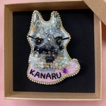 Saezou 様専用　Kanariちゃんブローチ