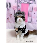 ツイード猫ちゃんのキャスケット