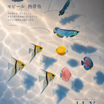 熱帯魚 アロワナ ディスカス エンゼルフィシュ モビール　魚