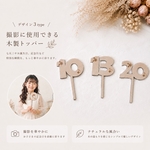 【送料込】成人式　ハーフ成人式　十三参り　1/2成人式 撮影小物　20 10 トッパー　小物　1/2バースデー 誕生日　ハッピーバースデー　フォトプロップス　プロップス　撮影アイテム