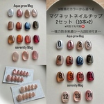 カラー選べる　組み合わせ自由　マグネットネイルチップ　2点セット