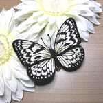 オオゴマダラ（中）の立体刺繍ブローチ