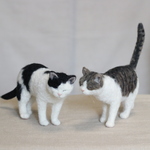 ☆ようもうのねこ☆Cats’story~茶白くんの片思い~
