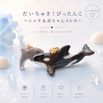 新作✨だいちゅき！ぴったんこ〜シャチ＆赤ちゃんイルカ〜