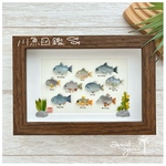 おさかな図鑑🐟シーグラスアート