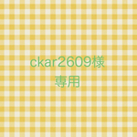 ⚠︎オーダー品です⚠︎ckar2609様専用