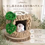 少し高さのある切り株ハウス　中の様子が見えやすい フクロモモンガ　ハムスター　小鳥　リスなどの小動物用　モンステラの葉付き