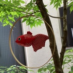 季節飾り　夏飾り　【可愛い金魚】