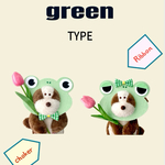 顔はめパネル vol.9   frog ｛Kaeru｝🐸