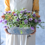 夏空を泳ぐ花たち