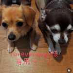 🐶forevermega 様専用ページ🐶