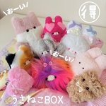 【SALE】うさねこBOX