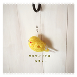 ルチノー✾セキセイインコ 小鳥 あみぐるみ  ストラップ