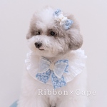 ふんわりレースのリボン＆ケープセット ｜犬用・猫用｜誕生日・記念日フォト・撮影会に