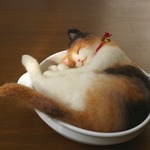 グラタン猫　おやき　⑬