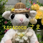 フクロモモンガ  