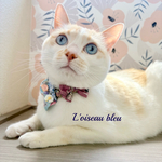 【猫首輪】リバティリボンボン猫首輪