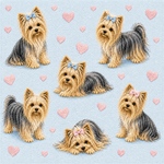 Yorkie fullcoat