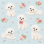 MintBlue maltese