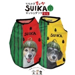 うちの子🐶すいか🍉メッシュタンク