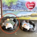 ☆新作☆どこでも温泉ねっこねこ