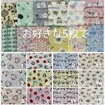 48ciuckie様オーダー　20枚