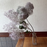 ドライフラワー スモークツリー 紫陽花 スノーフレーク スワッグ 36cm