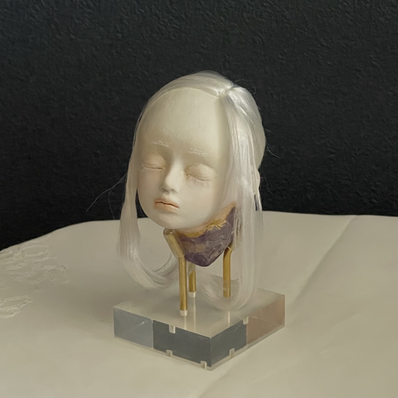 創作人形・彼女（エル）によせて - Cabinet of Still Lives ― 異形標本