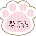 【chikuwa0219 様専用】