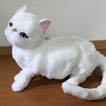 エキゾティックショートヘアーのショルダーバッグ