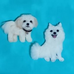 jincocco様専用ページ