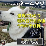 Julius-K9  ユリウスK9 対応　アレンジできる　お名前刺しゅうワッペン