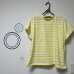 大人のデイリーTシャツ　プチハイネック　コットン　　イエローボーダー　チェック＆ストライプ　ビタミンカラー
