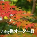 【Ackey様専用】オーダーネックレス＆さざれ石のブレスレット