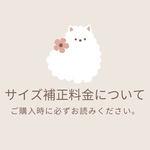 サイズ補正料金購入ページ